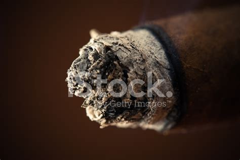 Ash Cigar Closeup Stock Photo | Royalty-Free | FreeImages