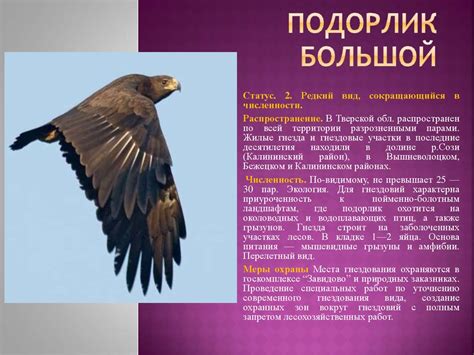 Красная книга Тверской области - презентация онлайн