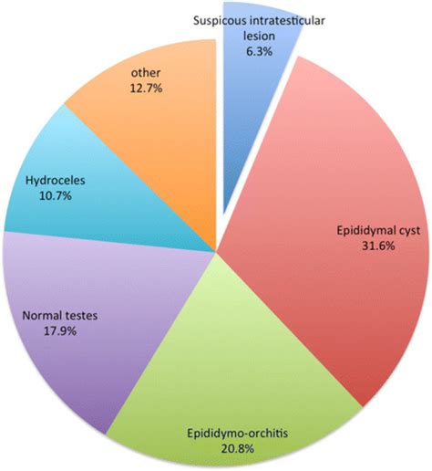 A chart describing all testicular ultrasound scans results | Download Scientific Diagram