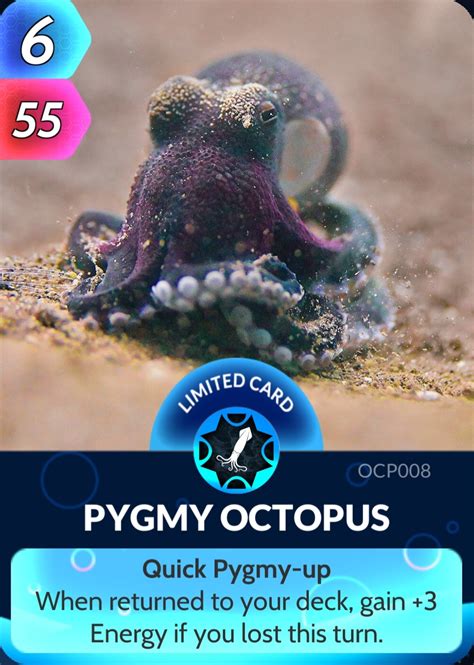 Pygmy Octopus | Cards, the Universe and Everything Wiki | Fandom