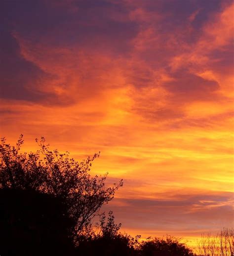 Puesta de sol en Otoño PASATIEMPOS manualidades reciclaje y