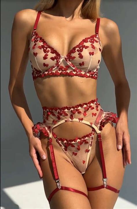 Embroidered Mesh Lingerie Set Lingerie Cloud