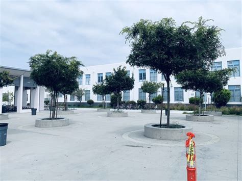 Venice High School Updated January 2025 31 Photos And 28 Reviews