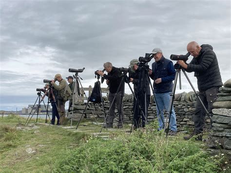 About - Bird Watching Trips