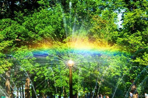 Лучи добра!! | Пикабу