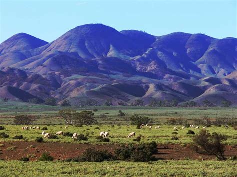 mount remarkable national park    traveler