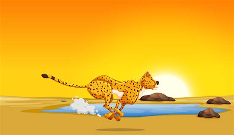 cheetah clip art 8