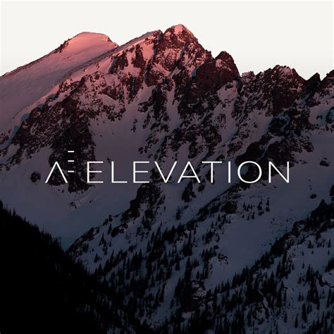 elevation palindrome studio