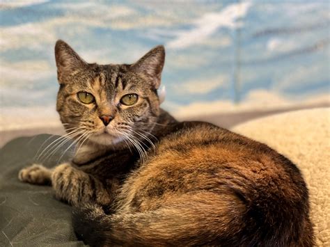 News Flash • Gloucester County, NJ • CivicEngage