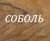 Купить ложе (ложу) винтовки