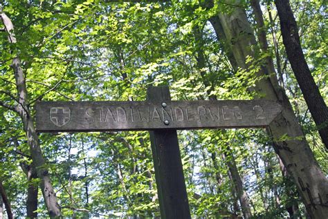 Wiener Stadtwanderweg 2 Auf Den Hermannskogel Christine Unterwegs