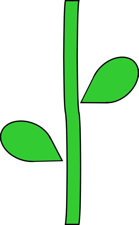 flower  stem template clipart