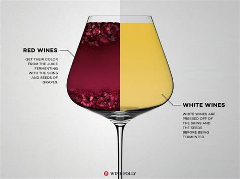 Red Wine Vs White Wine The Real Differences Wine Folly Wine Folly