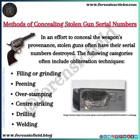 Archana Singh On Linkedin Methods Of Concealing Stolen Gun Serial Numbers