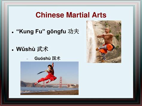 martial art vs kung fu 2