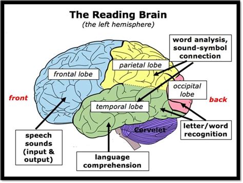science  reading elementary literacy