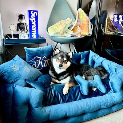 Dog Bed, Large Dog Bed, Extra Large Dog Bed, Velvet Dog Bed, Custom Dog ...