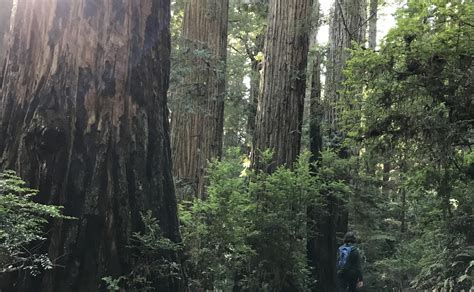 This guide explains how to subscribe to windsor star windsor ontario 10