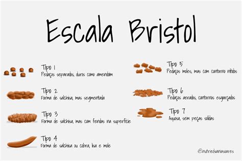 Escala De Bristol E Urina Para Imprimir Pdf Bilarasa