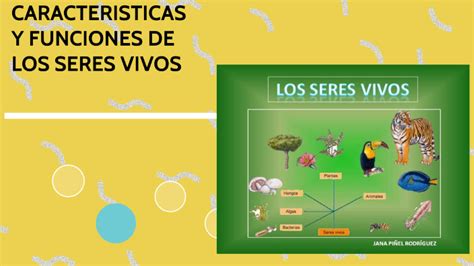 CARACTERISTICAS Y FUNCIONES DE LOS SERES VIVOS By Baltazar Turcios On Prezi