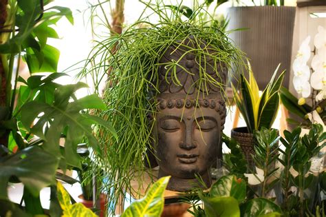 Transform Your Home With A Stunning Indoor Plant Wall