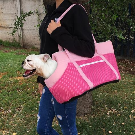 Bolso Para Perros Pequeños O Medianos 58x30x30cm Cuotas sin interés