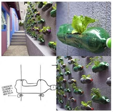 2 Liter Bottle Garden Liter Soda Bottle Wall Garden Diy Household