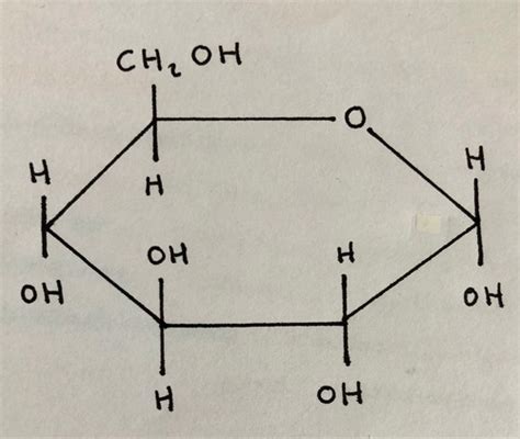 Chapter 3 Biological Molecules Flashcards Quizlet