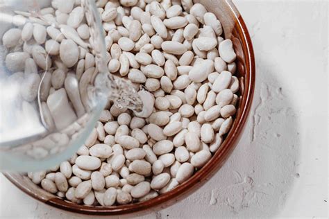how to prepare great northern beans 1