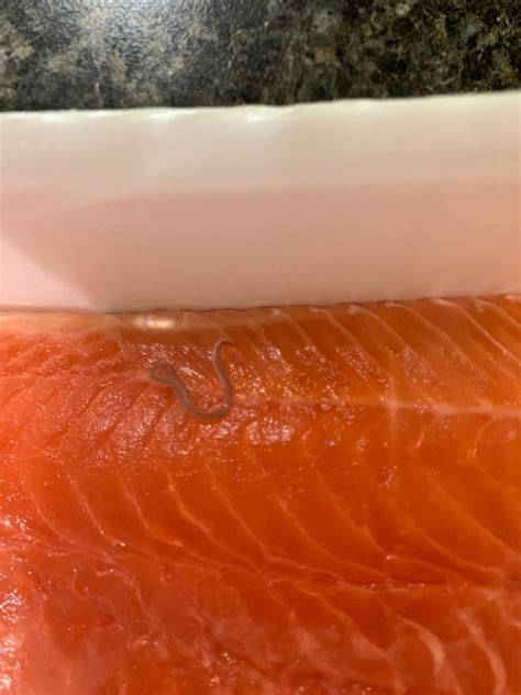 Excited To Cook This Salmon When I Noticed This Lovely Worm Inside The Sealed Package R