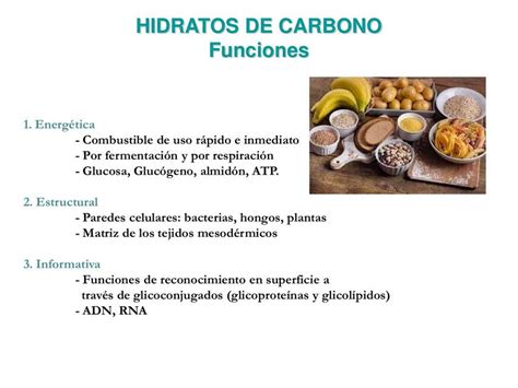 Hidratos De Carbohidratos Piera Unab UDocz