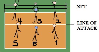 Volleyball Positions Explained