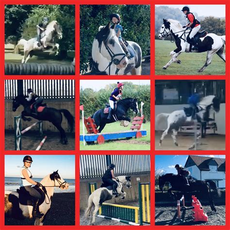 Liveries out and about – Barton Field Farm