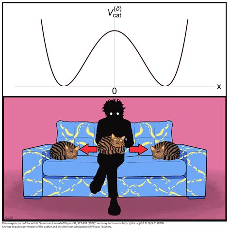 The surprising equation of cat motion 🐱