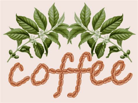 coffee design - Openclipart