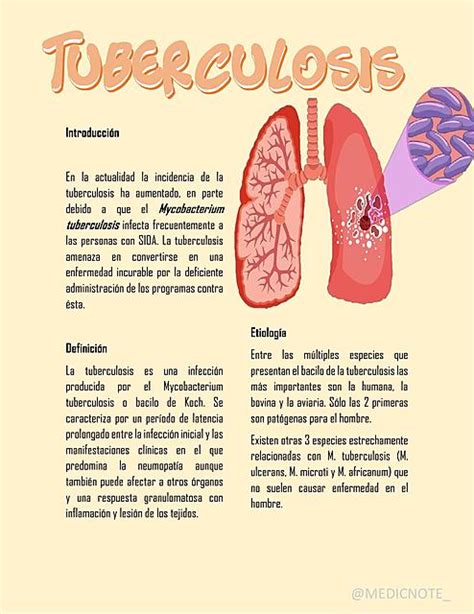 Tuberculosis Medicnote Epidemiolog A Medicina Humana Udocz