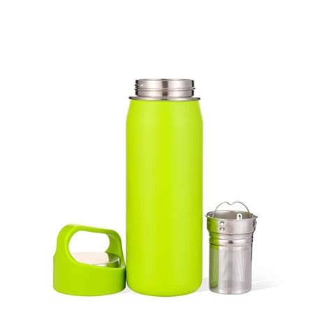 Unusual Steel Water Bottle With Infuser 01613A - Everich