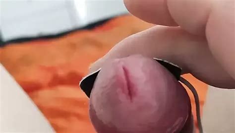 Terra Verdi Gay Porn Creator Videos Free Amateur Nudes XHamster