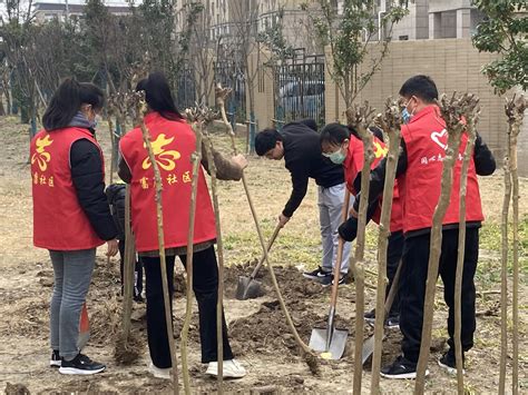 东亭湖街道富康社区开展“植绿护绿 助力双碳行动”主题植树活动 盐城新闻网