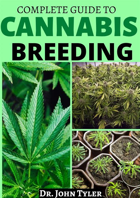 Complete Guide To Cannabis Breeding Quintessential Guide To Cannabis Grow And Breeding By Dr