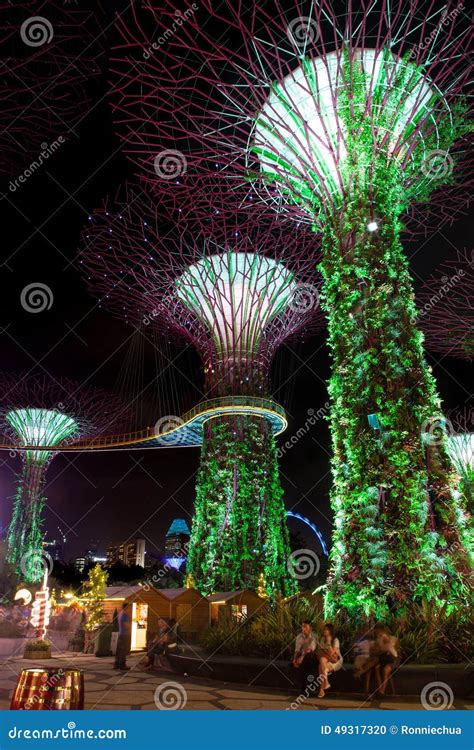 Supertree Grove At Gardens By The Bay In Singapore Editorial Image