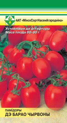 МинскСортСемОвощ Помидоры. Де Барао красный (20шт) Семена купить в ...