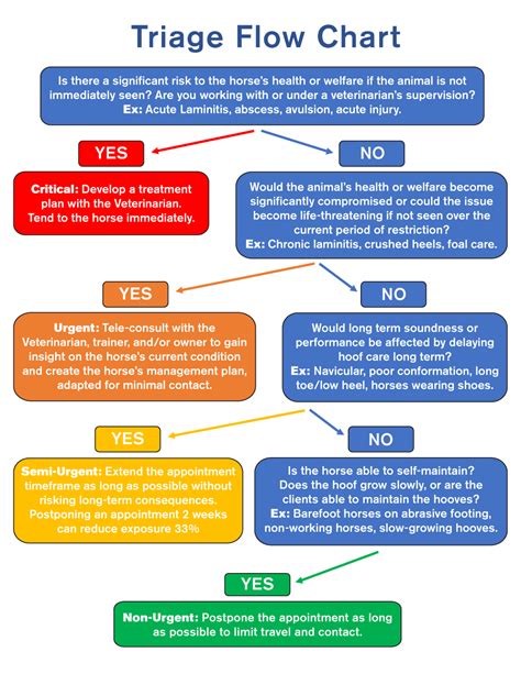 Triage System Flowchart General Practice Triage System 58 Off