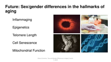 PPT Sex Gender Differences In The Demography Of Aging PowerPoint Presentation ID