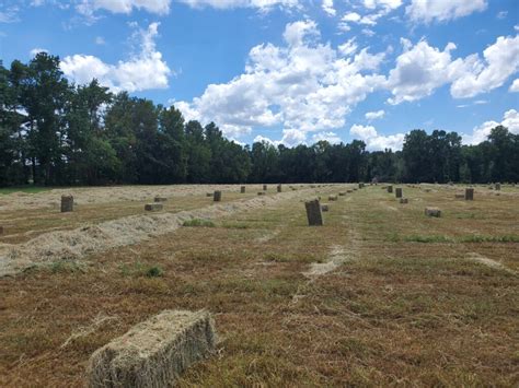 Hay For Sale Haymap