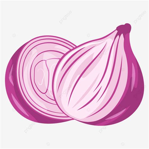 Red Onion Vector Image Onion Vector Vegetables PNG And Vector With