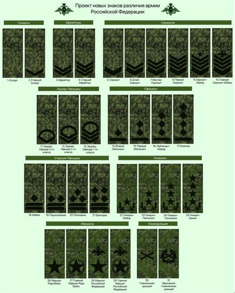 проект новых знаков различия для ВС РФ | Армия, Научные плакаты ...