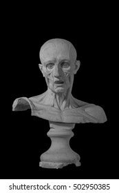 Plaster Statue Naked Man Anatomically Shaped Stock Photo 502950385 Shutterstock