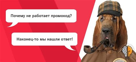 Не работает промокод на Яндекс Маркет: обзор возможных причин