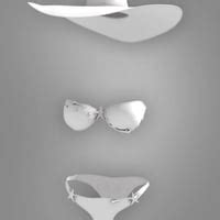 RW Sea Bikini For Genesis Female S Daz D